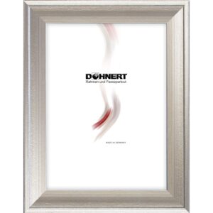 Kunststoffrahmen 99040, silber gebürstet